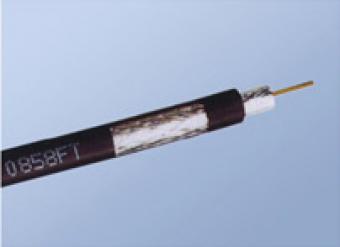 BD-037